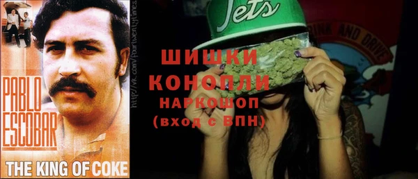 тгк Бронницы
