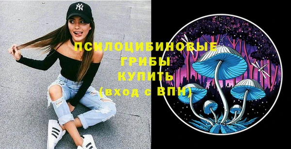 таблы Богданович