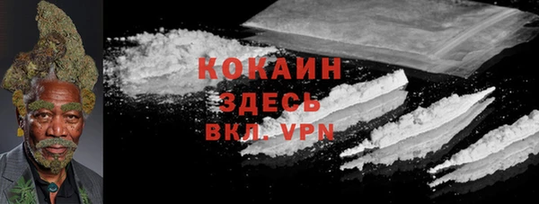 таблы Богданович