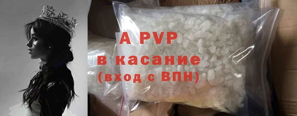 прущие грибы Богородицк