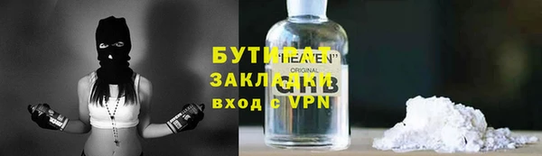 прущие грибы Богородицк