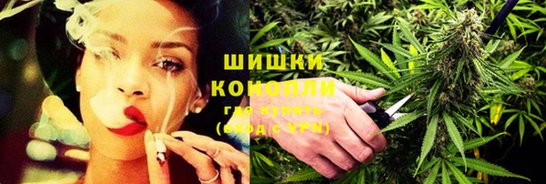 прущие грибы Богородицк