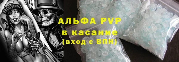 спиды Бородино