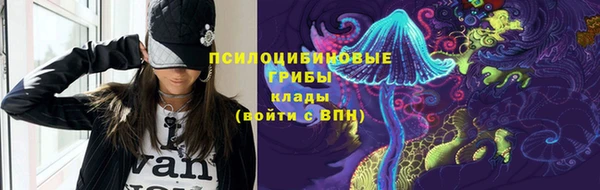 спиды Бородино