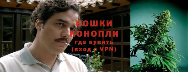 прущие грибы Богородицк