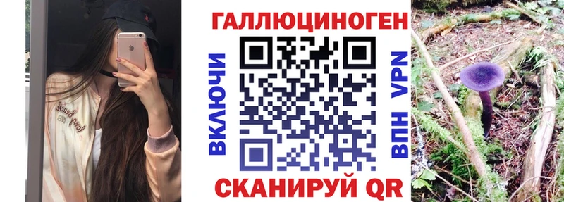 Галлюциногенные грибы Psilocybe купить наркотик МЕГА tor Кириллов